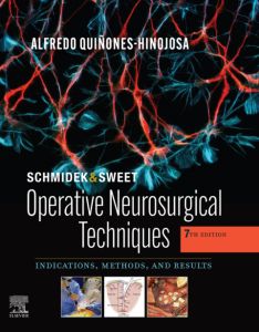 Schmidek and Sweet: Operative Neurosurgical Techniques E-Book