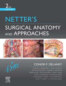 Netter's Surgical Anatomy and Approaches E-Book