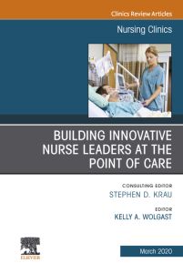 Building Innovative Nurse Leaders at the Point of Care,An Issue of Nursing Clinics