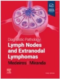 Diagnostic Pathology: Lymph Nodes and Extranodal Lymphomas E-Book