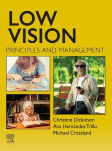 Low Vision - E-Book