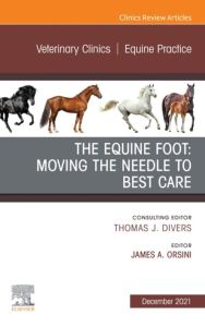 The Equine Foot: Moving the Needle to Best Care, An Issue of Veterinary Clinics of North America: Equine Practice, E-Book