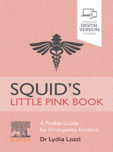 Squid's Little Pink E-Book VST