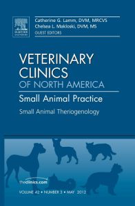 Theriogenology, An Issue of Veterinary Clinics: Small Animal Practice