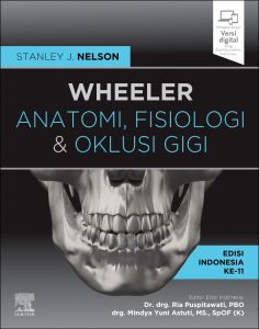 Anatomi, Fisiologi dan Oklusi Gigi Wheeler
