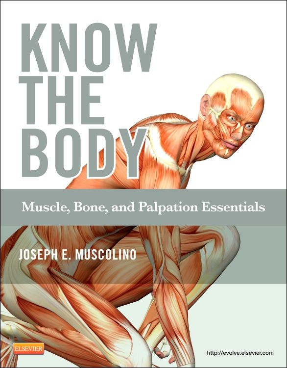 Medical knowledge, Massage therapy business, Muscle anatomy