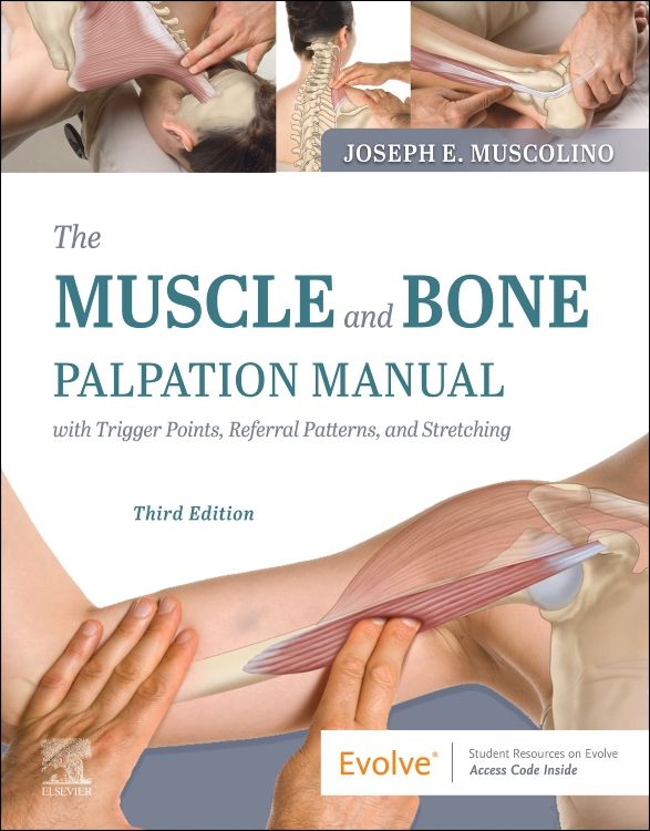 Palpation　Asia　Trigge:　Muscle　Elsevier　The　9780323761369　Joseph　E.　3rd　ISBN:　Muscolino　edition　Bone　with　Manual　and　Bookstore